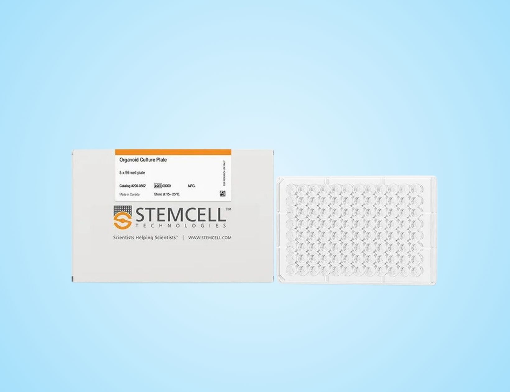 Đĩa Nuôi Cấy Organoid – Organoid Culture Plates