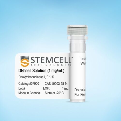 Dung dịch DNase I (1mg/mL)