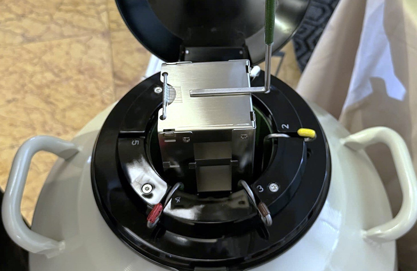 How Freezing Embryos Plays A Crucial Role In IVF