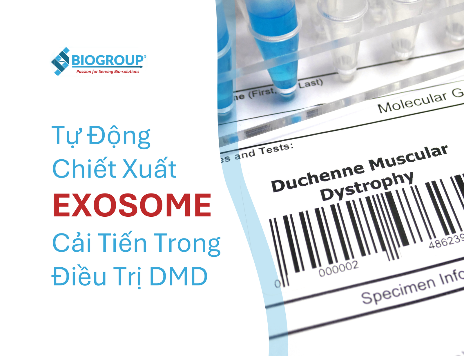 High-performance exosome extraction improves DMD therapy