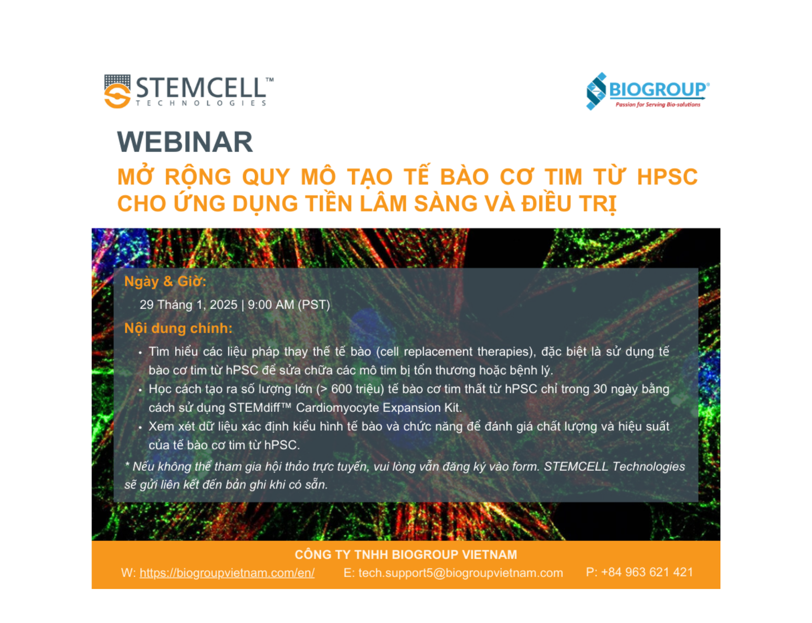 Scaling-Up hPSC-Derived Cardiomyocytes for Preclinical and Therapeutic Applications