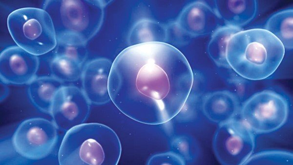 Stem Cell Application in Vietnam