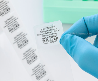 FAQ about XyliTRANS