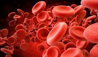 Depletion of Red Blood Cells from Fresh Blood Samples