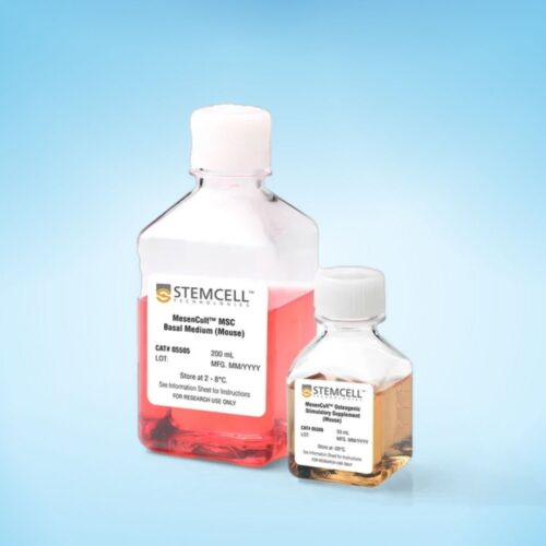 Môi Trường Biệt Hóa Tế Bào Gốc Trung Mô (Chuột)