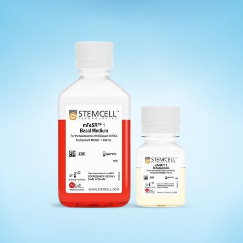 Môi Trường mTeSR™1