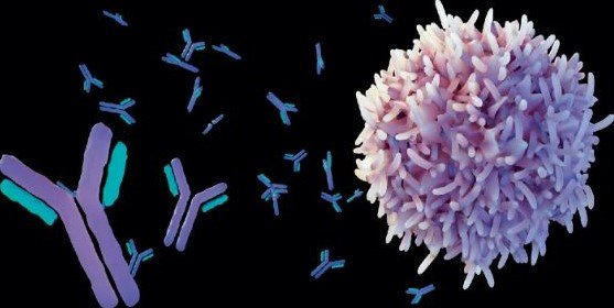 Breakthrough B-Cell Therapy