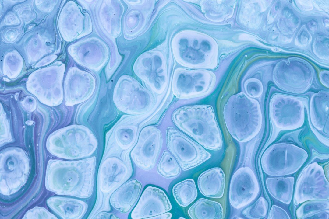 How to Cryopreserve and Thaw Cells More Effectively?