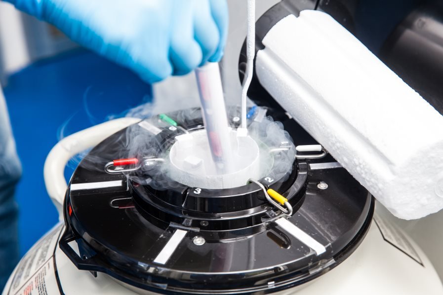 What Is Embryo Freezing?