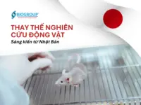 Japan’s unique initiatives in replacing animal research