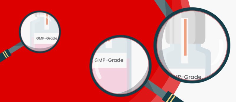 What Does It Mean For Cell Culture Media To Be GMP Grade/GMP-Compliant?