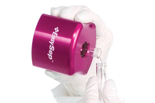 Isolate Immune Cells for Cancer Research