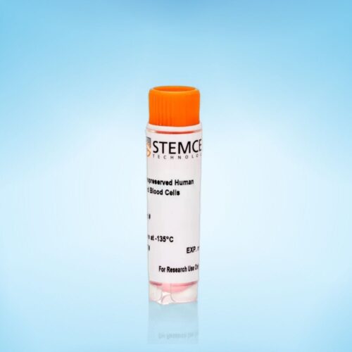 Tế Bào CD34+ Đông Lạnh Thu Nhận Từ Máu Dây Rốn Người