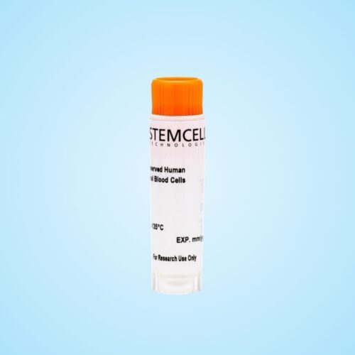 Tế Bào CD34+ Đông Lạnh Thu Nhận Từ Máu Ngoại Vi Người