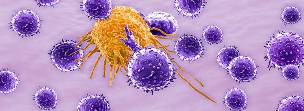 T Cell Therapy Research: From Bench to Bedside