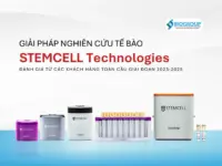 Giải pháp nghiên cứu tế bào từ STEMCELL | Góc nhìn khách hàng
