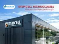 STEMCELL Technologies: Cộng sự của chuyên gia tế bào gốc