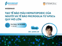 Tạo tế bào máu người và vi thần kinh đệm từ hPSCs quy mô lớn | Webinar