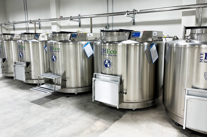 Bình nitơ lỏng lưu trữ tế bào gốc ((Nguồn: Cryoport Systems)