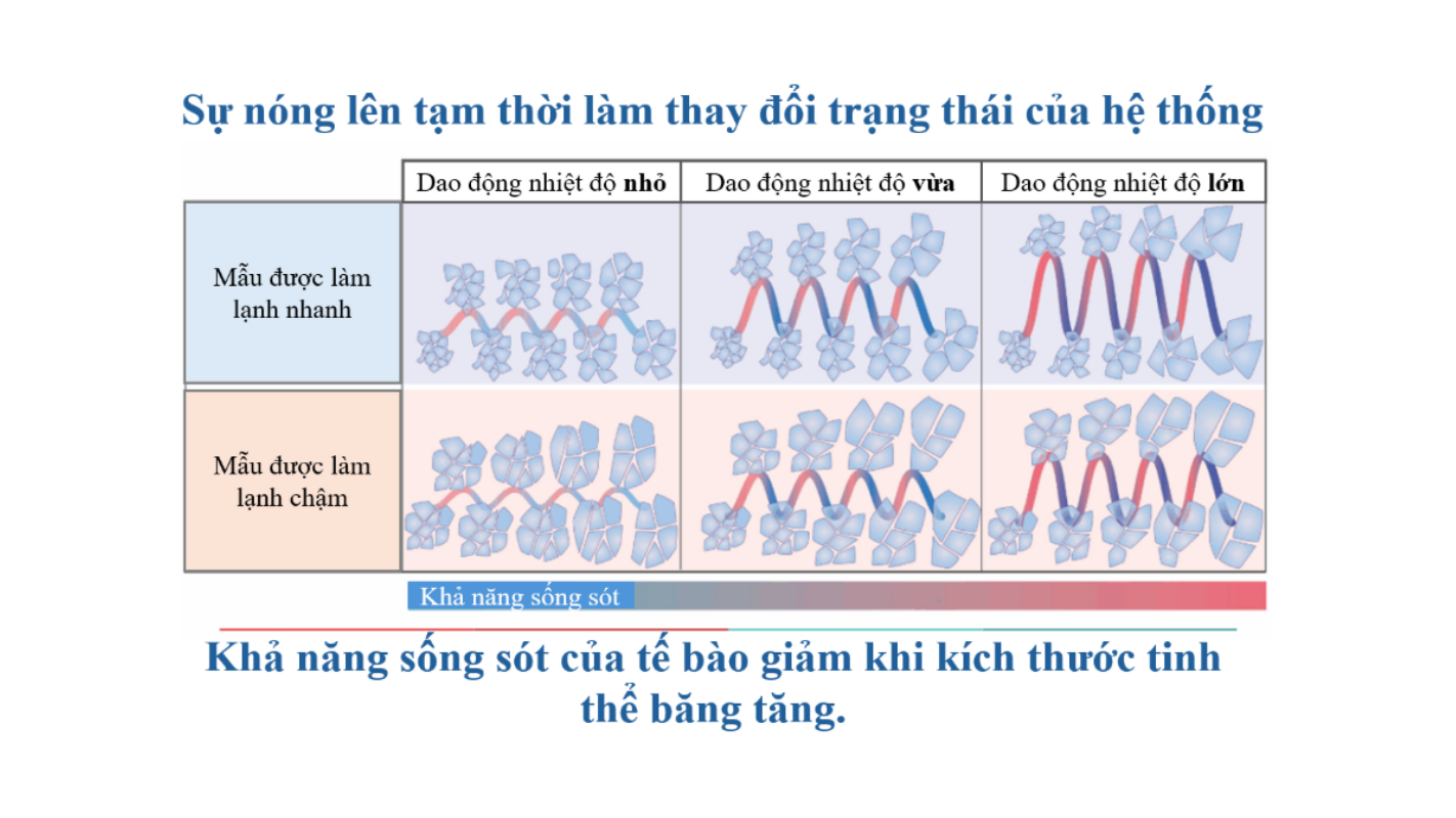 Các sự cố nóng lên tạm thời (TWEs) làm thay đổi trạng thái của mẫu đông lạnh.