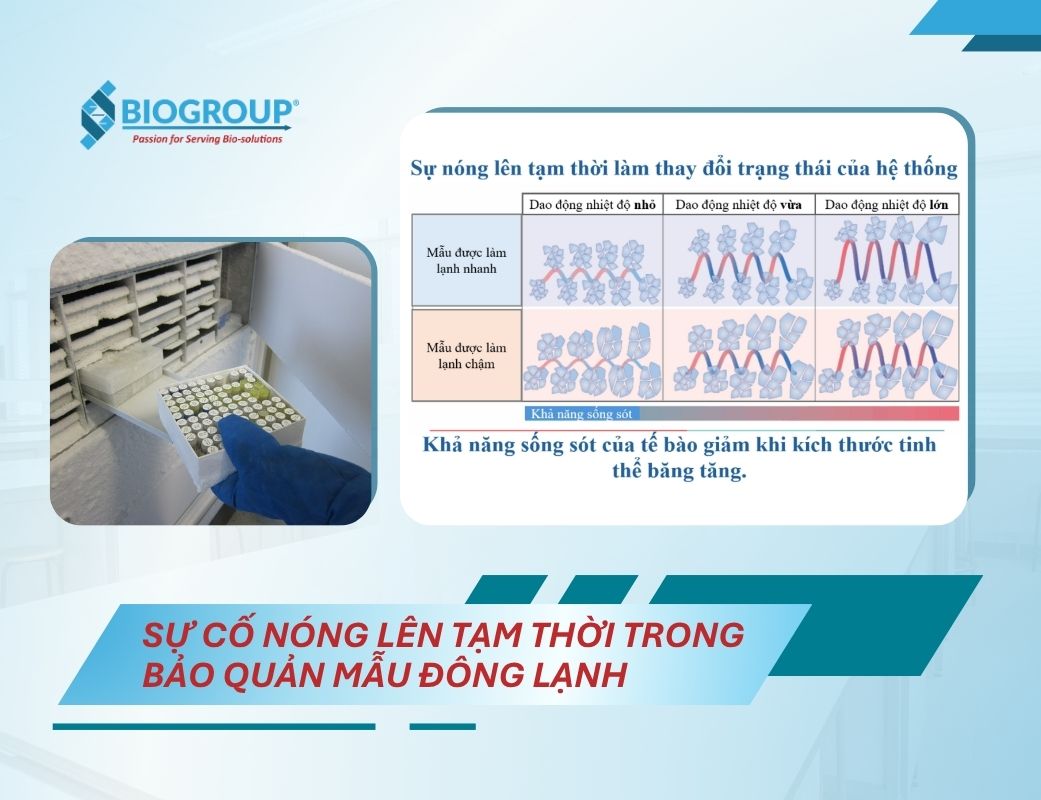 Sự cố nóng lên tạm thời trong bảo quản mẫu đông lạnh