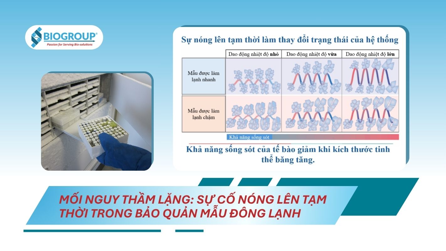 Các sự cố nóng lên tạm thời (TWEs) trong bảo quản mẫu đông lạnh 