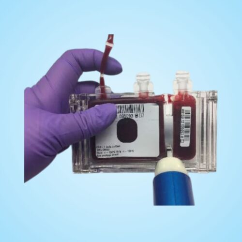 Thiết Bị & Vật Tư Hỗ Trợ