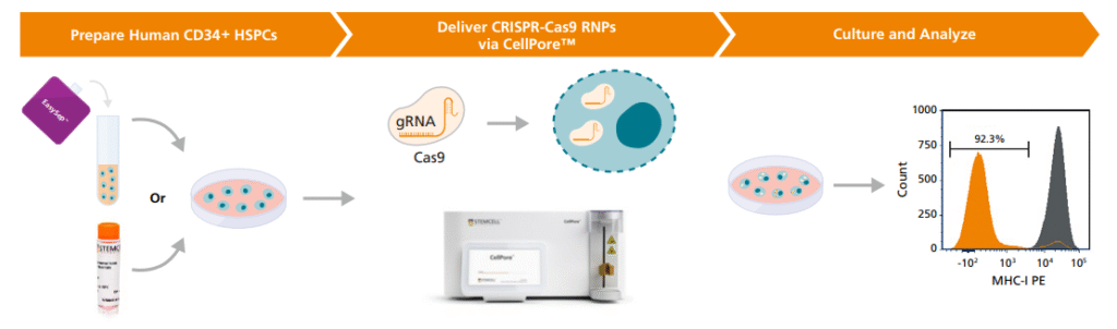 Workflow chỉnh sửa gen tế bào gốc tạo máu CD34+ sử dụng hệ thống CellPore