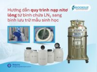 Hướng dẫn quy trình nạp nitơ lỏng từ bình chứa LN₂ sang bình lưu trữ mẫu sinh học