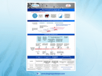 [Infographic] Môi trường nuôi cấy thế hệ thứ 3: CD AOF (Chemically Defined & Animal Origin Free)