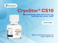 Môi trường bảo quản đông lạnh CryoStor® CS10 sản xuất theo tiêu chuẩn cGMP