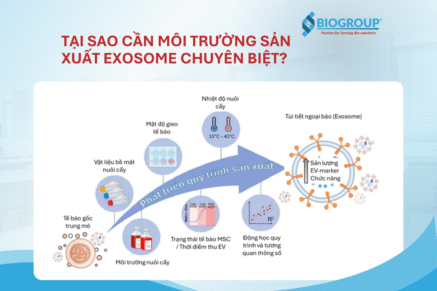 Tại sao cần môi trường sản xuất exosome chuyên biệt?