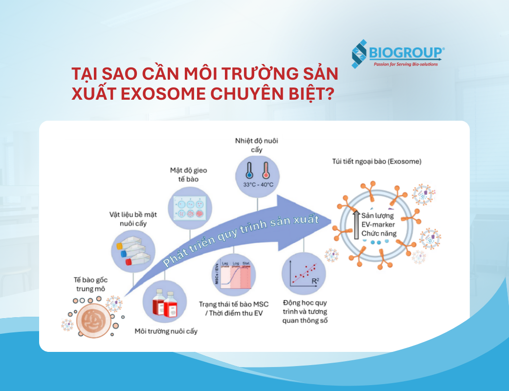Tại sao cần môi trường sản xuất Exosome chuyên biệt?