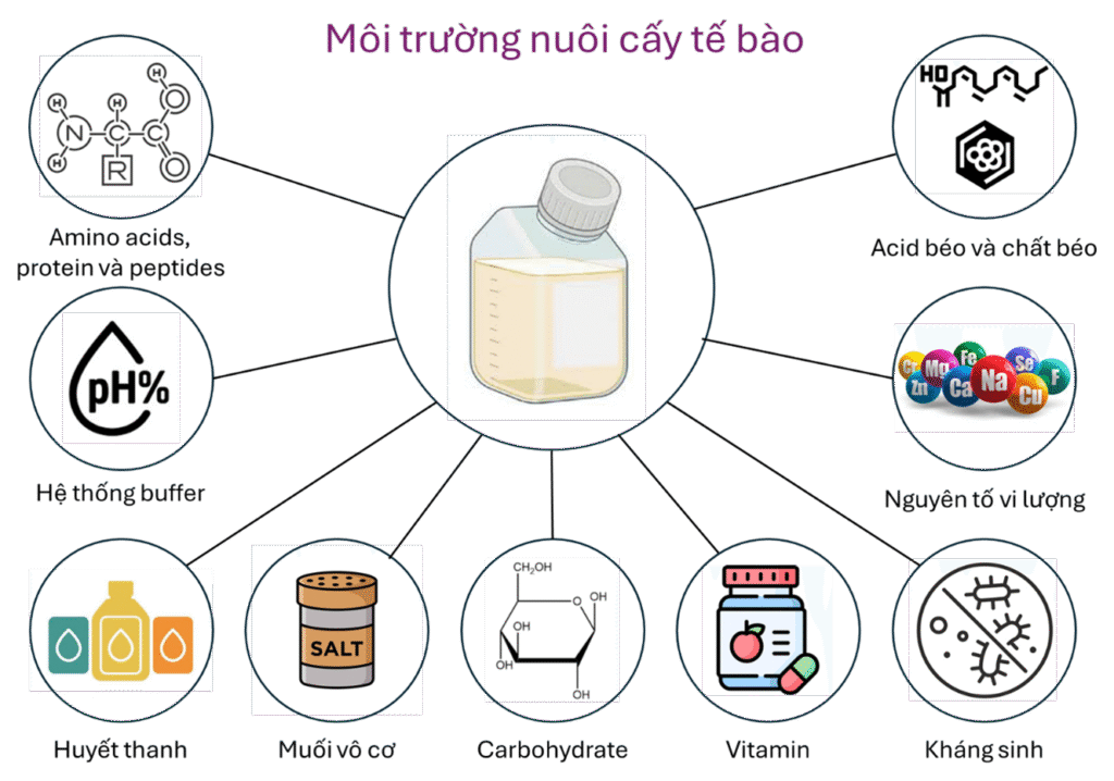 Tóm tắt các thành phần cơ bản của môi trường nuôi cấy tế bào