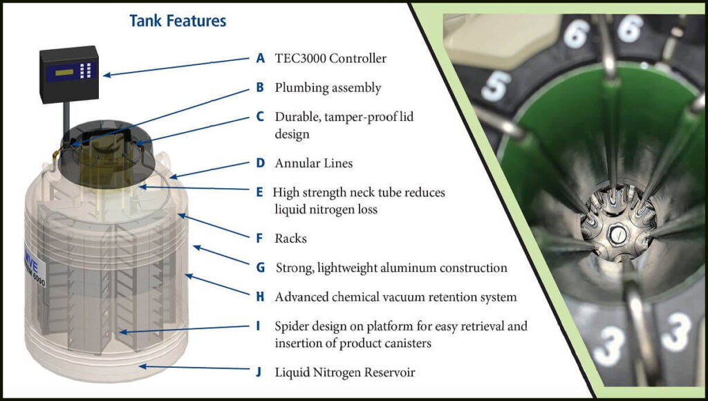 Cấu tạo bình MVE CryoSystem 6000 Full Auto với bộ điều khiển TEC3000