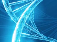 Các phương pháp định lượng axit nucleic: Hướng dẫn toàn diện