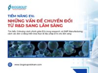 Tiềm năng của EVs và những vấn đề trong chuyển đổi từ R&D sang lâm sàng