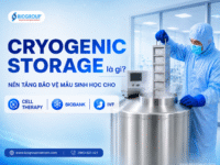Cryogenic Storage là gì? Nền tảng bảo vệ mẫu sinh học cho Cell Therapy, Biobank và IVF