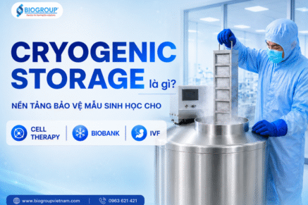 Cryogenic Storage là gì? Nền tảng bảo vệ mẫu sinh học cho Cell Therapy, Biobank và IVF