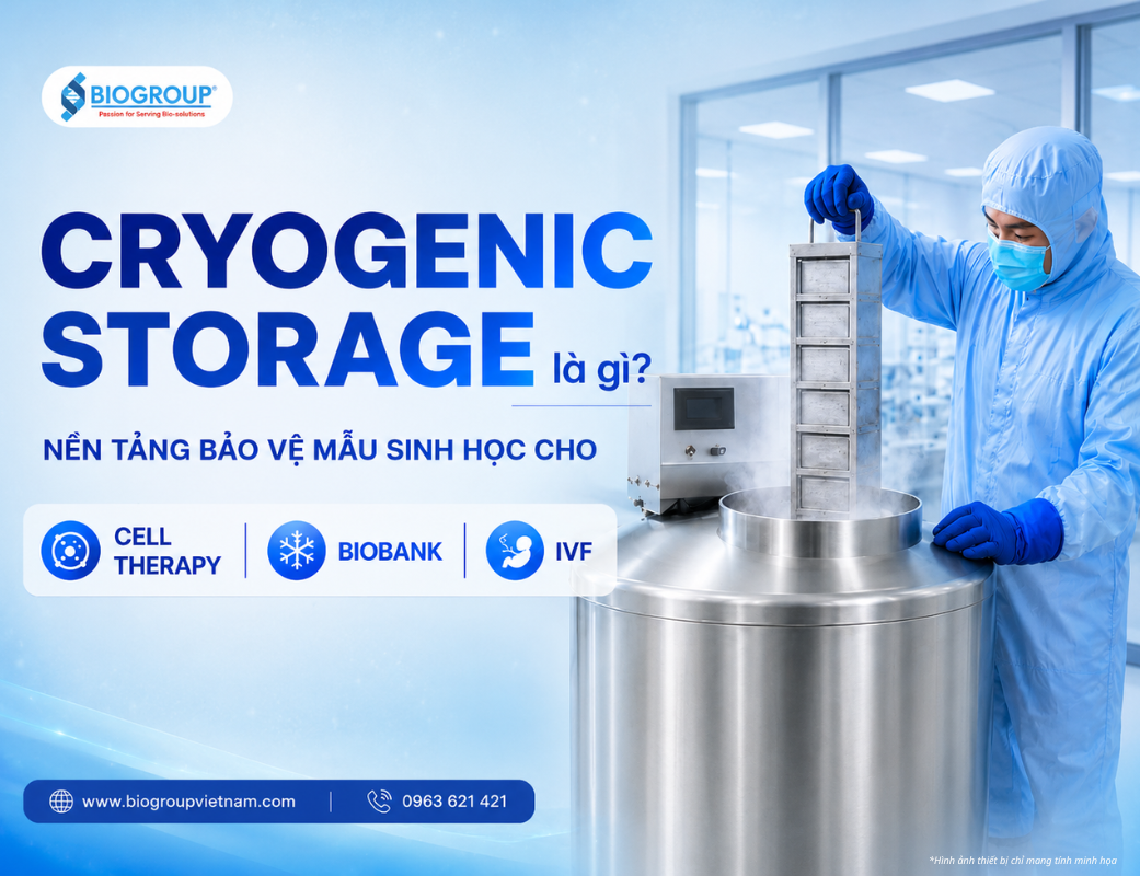 Cryogenic Storage là gì? Nền tảng bảo vệ mẫu sinh học cho Cell Therapy, Biobank và IVF
