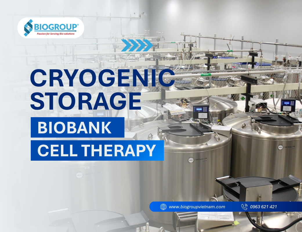 Cryogenic Storage trong Cell Therapy và Biobank – Nền tảng bảo vệ tài sản sinh học và chất lượng điều trị
