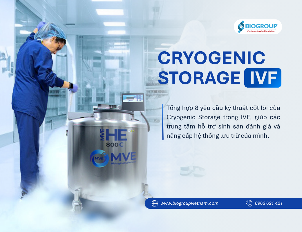 Lưu trữ lạnh trong IVF: Những yêu cầu quan trọng để bảo vệ phôi, noãn và tinh trùng