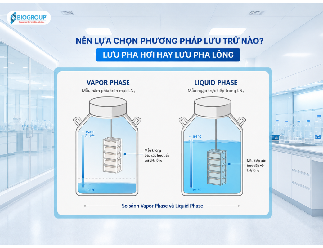 Lưu trữ pha hơi hay pha lỏng? So sánh toàn diện hai phương pháp Cryogenic Storage
