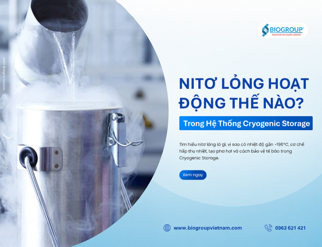 Nitơ lỏng hoạt động như thế nào trong hệ thống Cryogenic Storage?