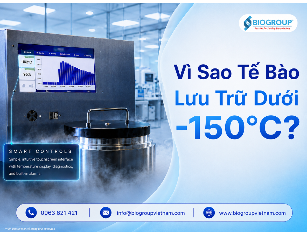 Vì sao cần lưu trữ lạnh tế bào ở nhiệt độ -150°C hoặc thấp hơn?