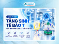 Cách nuôi tăng sinh tế bào T trong hệ thống nuôi tăng sinh G-Rex® bằng phương pháp nuôi cấy hạn chế can thiệp