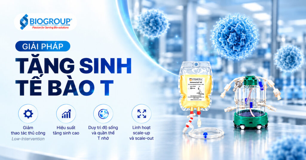 Giải pháp tăng sinh tế bào T